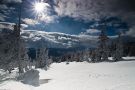 White giants of the Giant Mountains