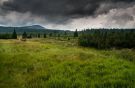 Peat bog Lake fen